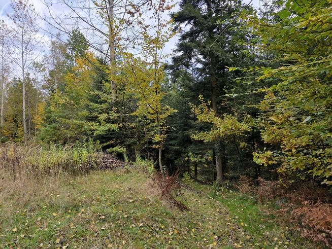 Działka rolna Strzeszyn gm. Biecz