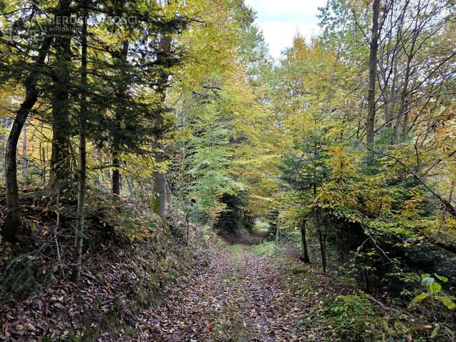 Działka rolna Strzeszyn gm. Biecz