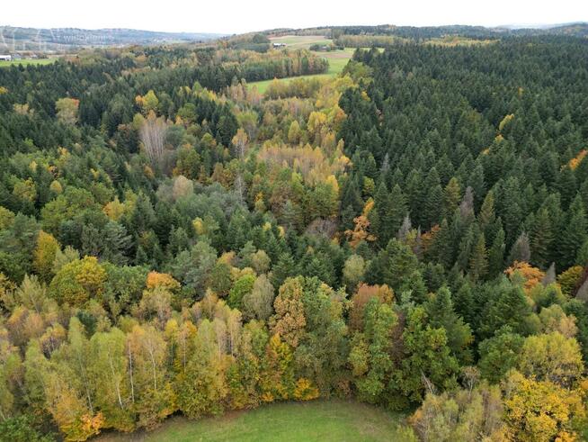 Działka rolna Strzeszyn gm. Biecz