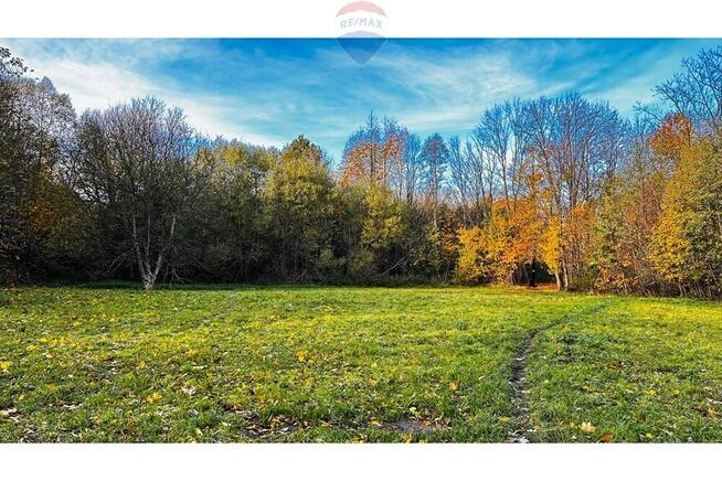 Działka 1,13 ha - 33 zł/m2