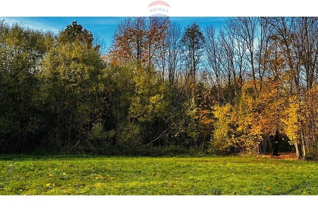 Działka 1,13 ha - 33 zł/m2