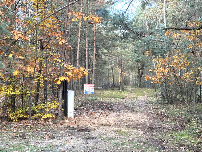 Działka leśna z możliwością zabudowy w MPZP