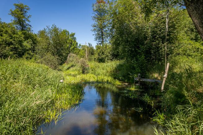 Dom z furtką do lasu. Blisko natury i cywilizacji.