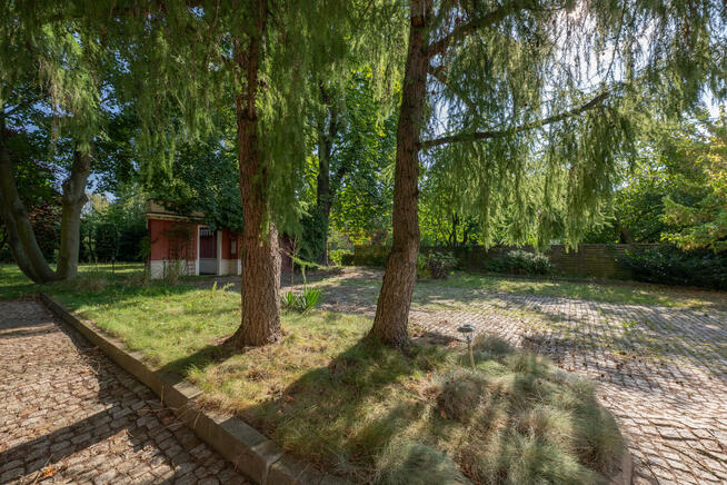 Lokal użytkowy Wrocław Śródmieście, Dąbie, Biegasa