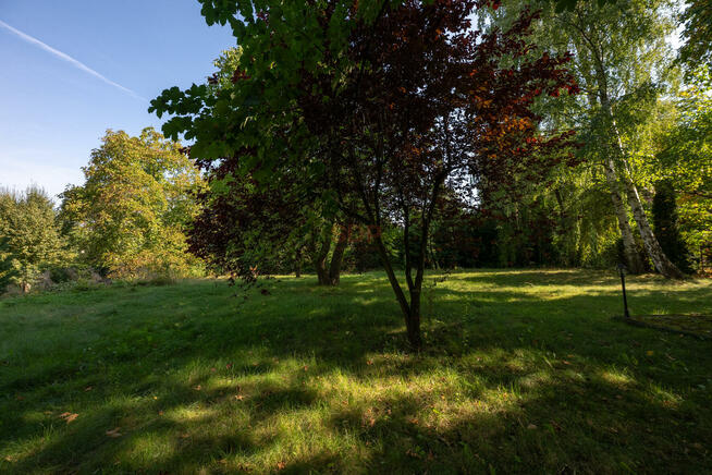 Lokal użytkowy Wrocław Śródmieście, Dąbie, Biegasa