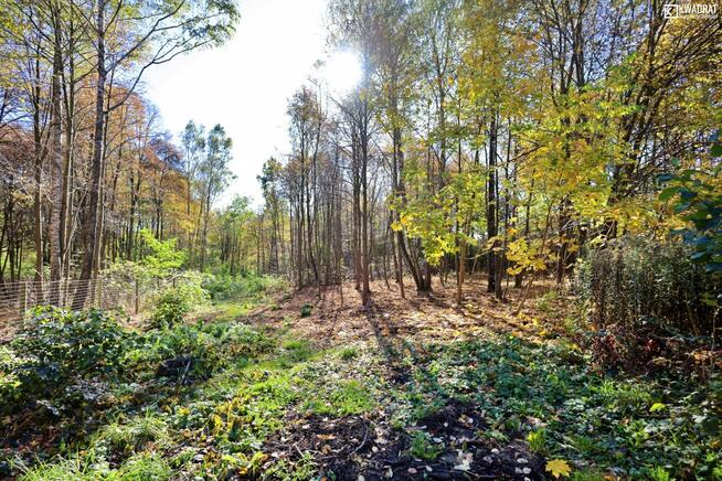 Działka budowlana Lipniak gm. Konopnica