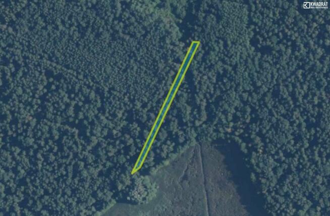 Działka leśna Stary Orzechów gm. Sosnowica