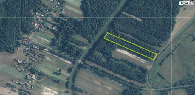 Działka leśna Stary Orzechów gm. Sosnowica