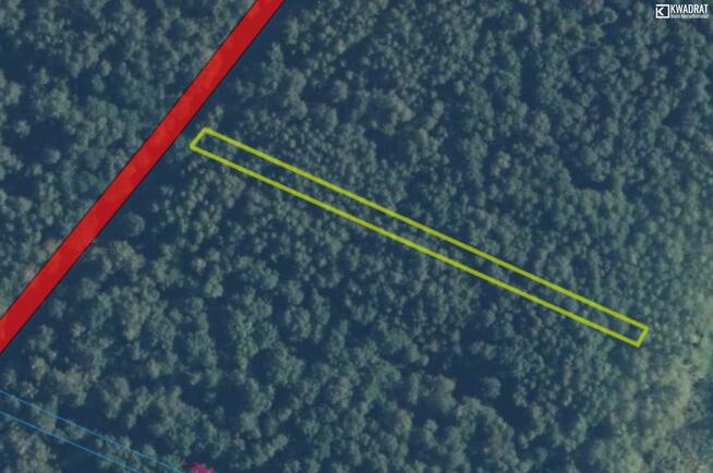 Działka leśna Stary Orzechów gm. Sosnowica