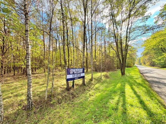 Działka leśna Stary Orzechów gm. Sosnowica