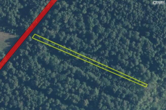 Działka leśna Stary Orzechów gm. Sosnowica