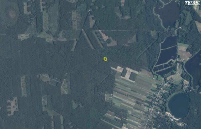 Działka leśna Białka gm. Dębowa Kłoda