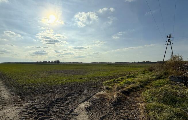 Miłków Kol, gm. Siemień – działka fotowoltaika