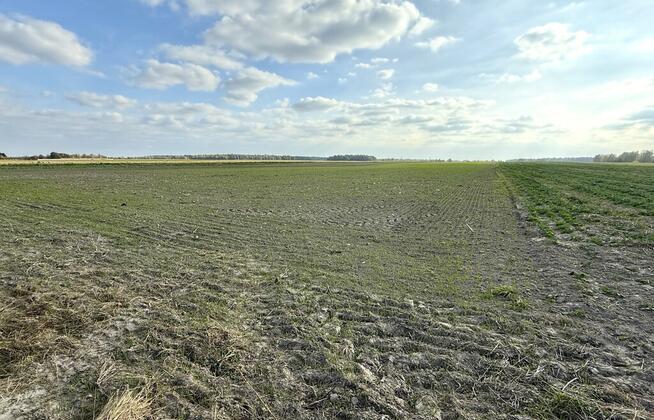 Miłków Kol, gm. Siemień – działka fotowoltaika