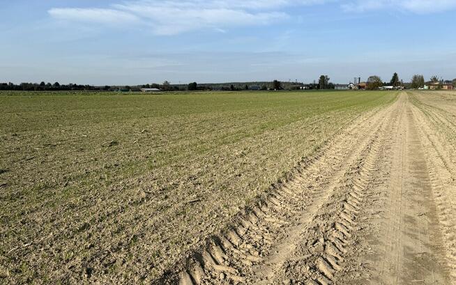 Miłków Kol, gm. Siemień – działka fotowoltaika