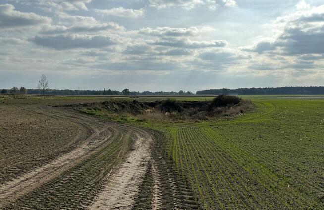 Miłków Kol, gm. Siemień – działka fotowoltaika