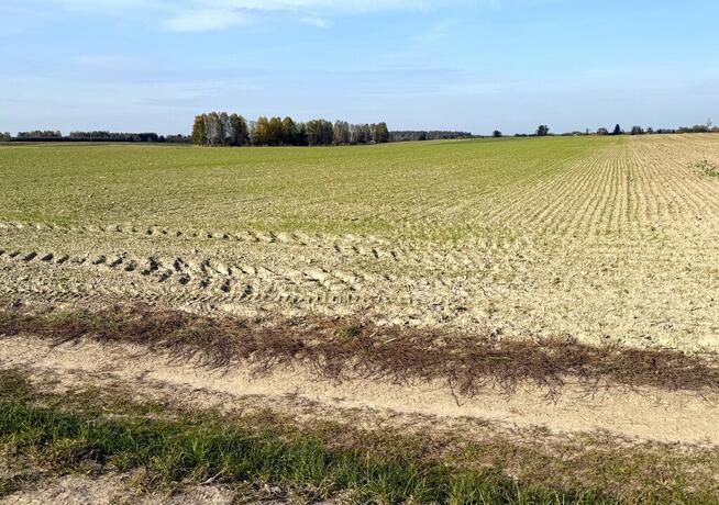 Miłków Kol, gm. Siemień – działka fotowoltaika