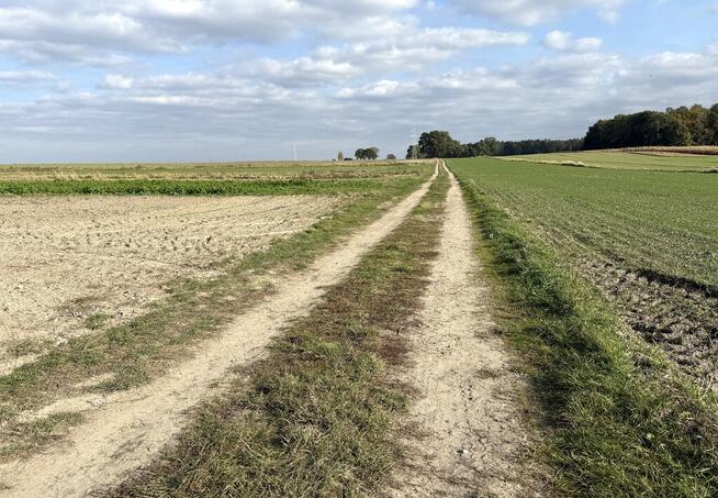 Miłków Kol, gm. Siemień – działka fotowoltaika