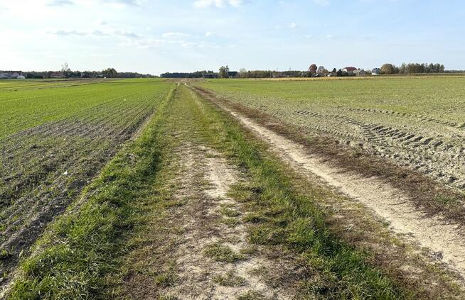 Miłków Kol, gm. Siemień – działka fotowoltaika