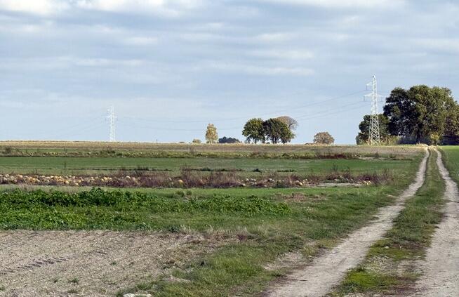Miłków Kol, gm. Siemień – działka fotowoltaika