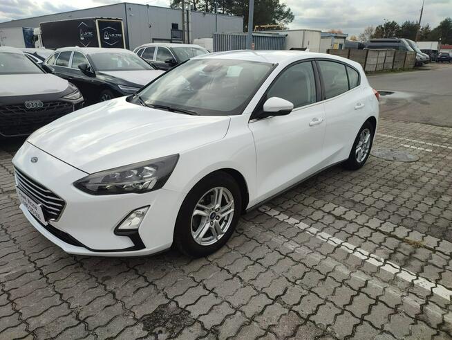 Ford Focus Salon Polska fv23