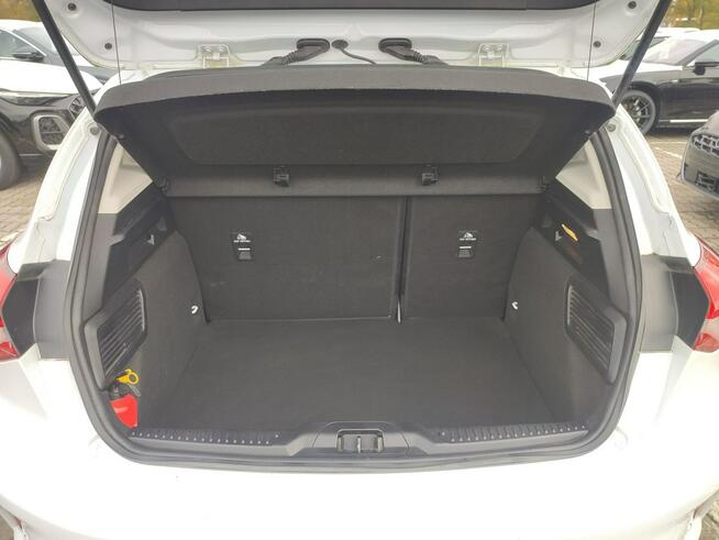 Ford Focus Salon Polska fv23