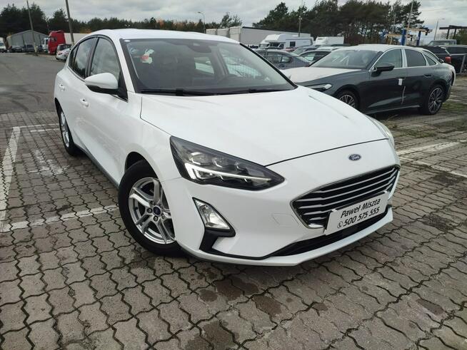 Ford Focus Salon Polska fv23