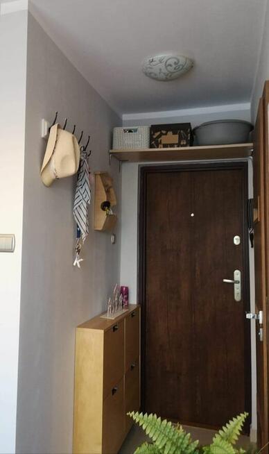 Przytulne 2 pok. mieszkanie, blisko centrum i plaży!: zdjęci