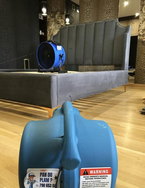 Profesjonalna Pralnia Tapicerki, Dywanów i Wykładzin