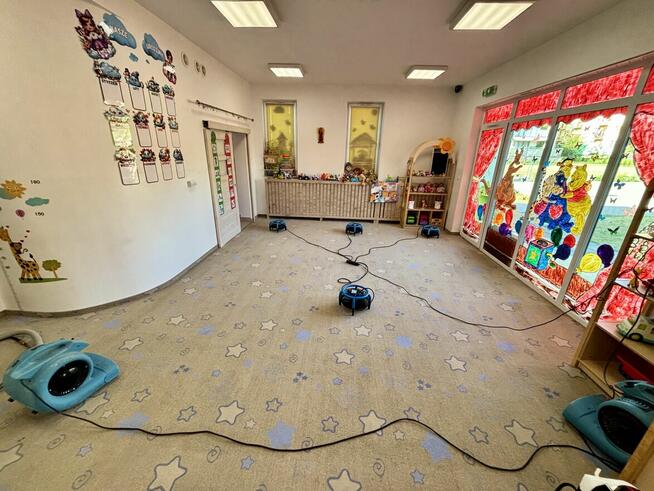 Profesjonalna Pralnia Tapicerki, Dywanów i Wykładzin