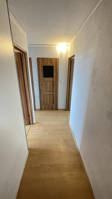 Popowice, 2 pokoje, 41,50 m2, rozkładowe