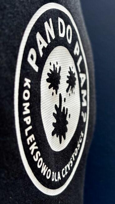 Profesjonalna Pralnia Tapicerki, Dywanów i Wykładzin