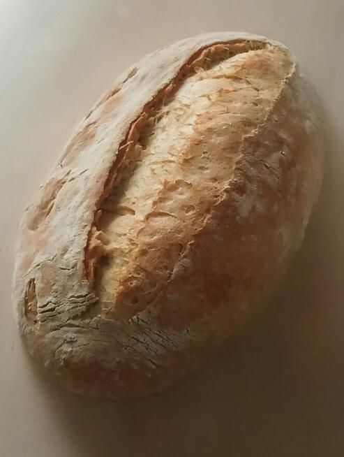 Szef kuchni do wynajęcia, szkolenia, wsparcie gastronomi