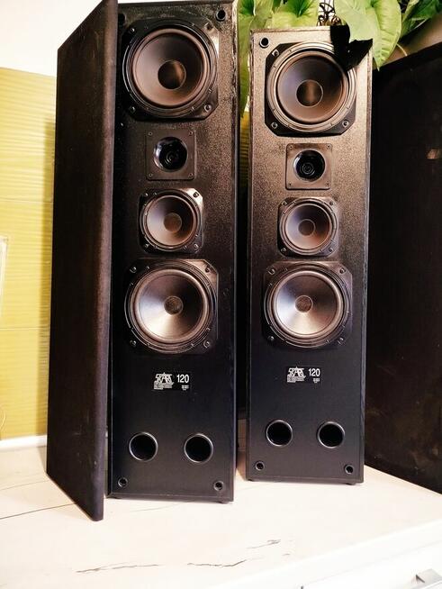 Para ciężkich kolumn Hi-End Skart 120. 150 W/8ohm muzycznej