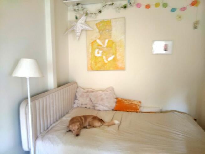 Obraz Baron von......