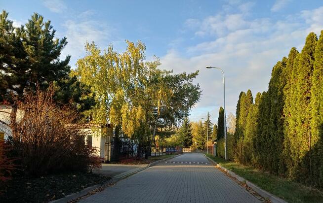 Działka 1050 m² – Rusiec – media, kostka, blisko S8