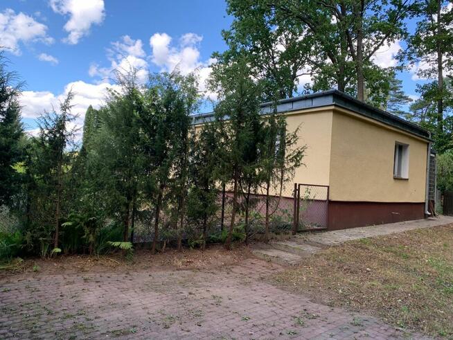 Sprzedam dom przy lesie w województwie podlaskim