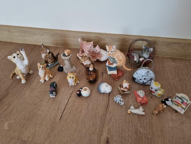 Kolekcja kotów