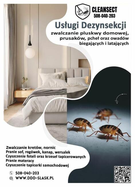 Pranie tapicerki, rogówek, Usługi DDD, Ozonowanie ŚLĄSK