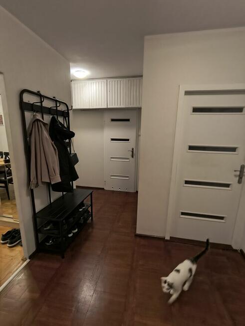 Przestronne mieszkanie 69,5