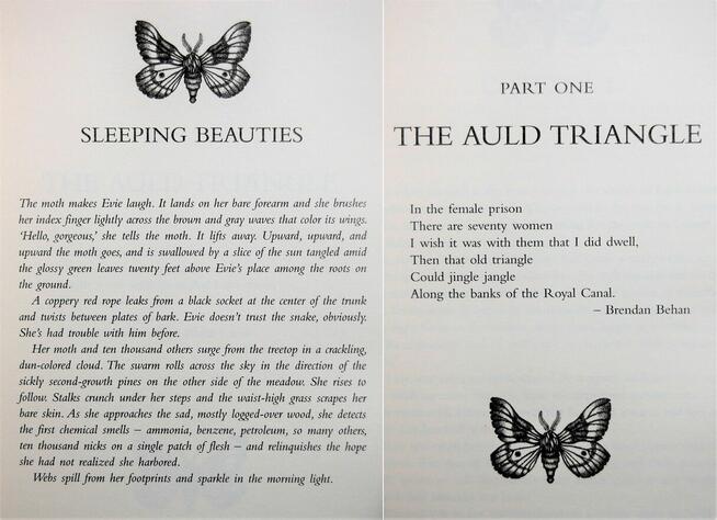 Stephen, Owen King, Sleeping Beauties, nowa, j. angielski