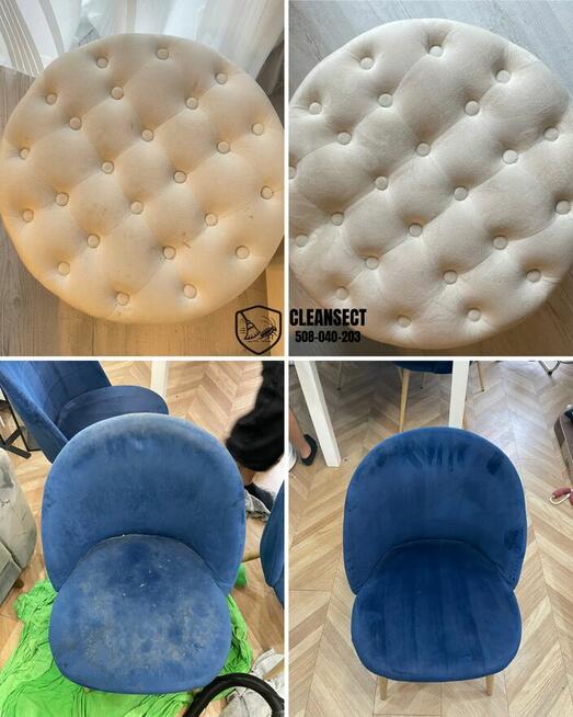 Zwalczanie kreta, pluskwy, ozonowanie, pranie tapicerki TANI