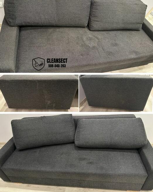 Zwalczanie kreta, pluskwy, ozonowanie, pranie tapicerki TANI