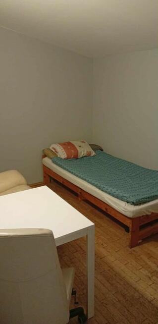 Pokój do wynajęcia