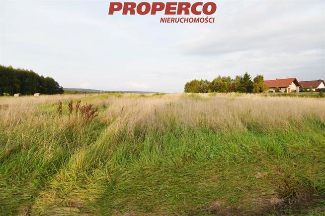 Działka Przyjmo gm. Miedziana Góra