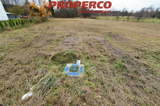 Działka Daleszyce Danków-Wójtostwo