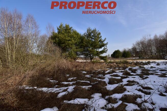 Działka Rykoszyn gm. Piekoszów