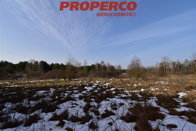 Działka Rykoszyn gm. Piekoszów