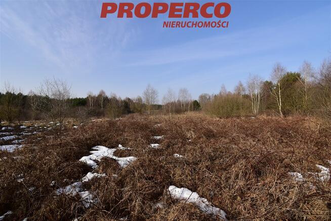 Działka Rykoszyn gm. Piekoszów