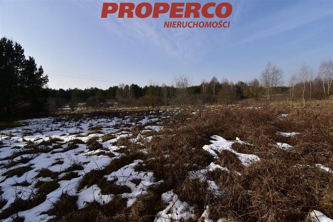 Działka Rykoszyn gm. Piekoszów